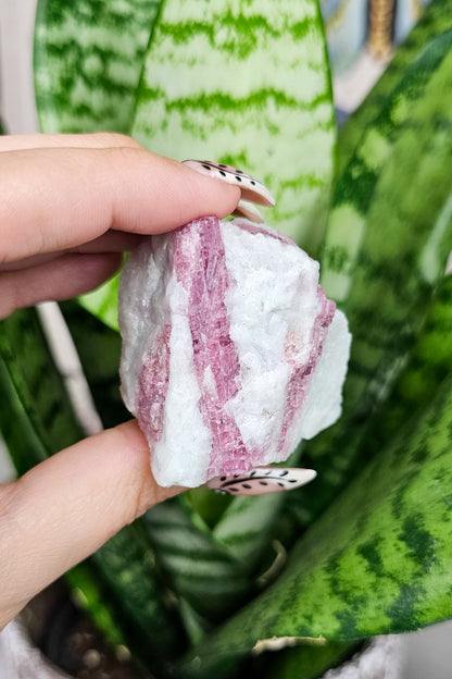 Pink Tourmaline × Quartz Specimens